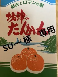 SUー様 たんかん　5キロ