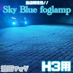 超爆光！H3用 24V対応 パープルピンクフォグランプ！当店限定色