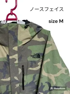 Item thumbnail for item 99378d29-2c64-411b-ab5a-185ecda91a31