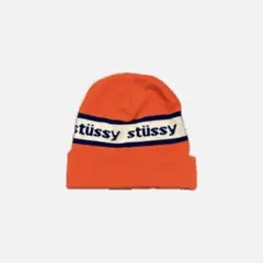 希少】STUSSY Livin' GENERAL STORE USA製 - メルカリ