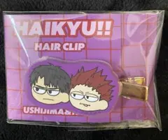 ハイキュー!! 牛島 & 天童 ヘアクリップ