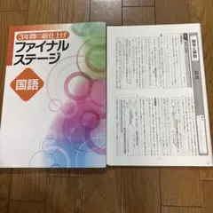 3年間の総仕上げ ファイナルステージ 国語 新ワーク国語