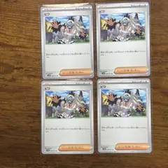 ビワ 4枚セット