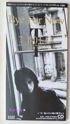 T－BORAN 8センチcd Bye For Now 邦楽　バラード　ロック