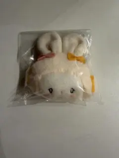 サンリオ　シークレットミニポーチチャーム　こぎみゅん