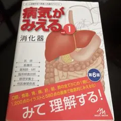 ゴーヤ様 リクエスト 3点 まとめ商品