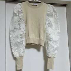 ZARA ザラ 花柄シースルー トップス
