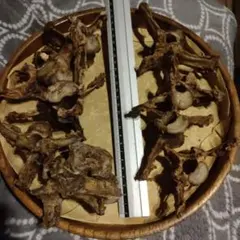 Item thumbnail for item 1fdfad05-a4bf-4463-a2b3-e33688525adc