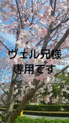 カラフルピーチ　からぴち　スイパラ　トレーディングアクリルフィギュア　ヒロ えと