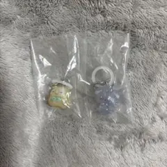 ポケモンめじるしアクセサリー