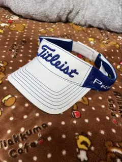 Item thumbnail for item d3b4fc3f-965d-4337-bede-31a91253bf77