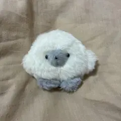 す*）様 じょせまる　まるころ　マスコット