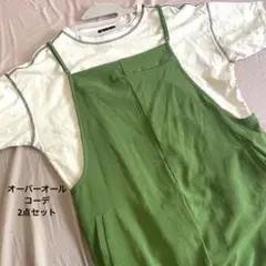 レディースコーデ売り【薄手オーバーオールLサイズ シンプルTシャツ】2点セット