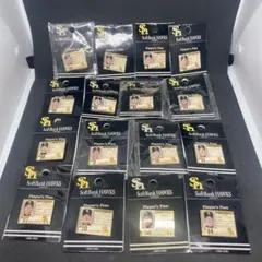 コ*ク様 2005年ソフトバンクホークス 選手ピンバッジ 16個セット　断捨離