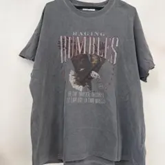 WEGO RAGING RUMBLES Tシャツ Mサイズ