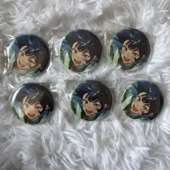 あんスタ 缶バッジ エス