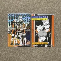 ハイキュー!! きゃらくたぶるカードグミVlo.4スーパーハイレアカード 烏野