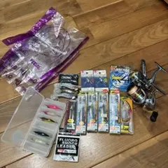 バス釣り引退セット 整理品 25タトゥーラsv tw ワームまとめ売り