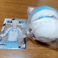 ハイキュー!! 星海光来 セット