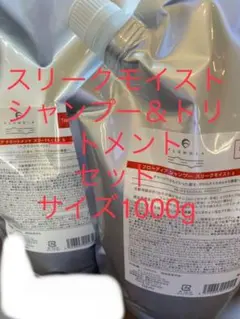デミ フローディア　スリークモイスト　シャンプー&トリートメント　1000mlのサムネイル