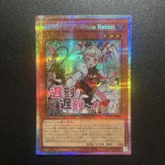 White Rabbit マリスポーンホワイトラビット　プリシク　プリズマ　3枚 White Rabbit マリスポーンホワイトラビット プリシク プリズマ 3枚