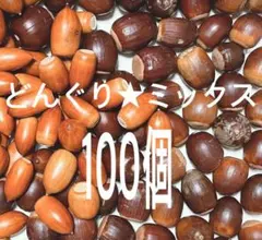 どんぐり★ミックス100個