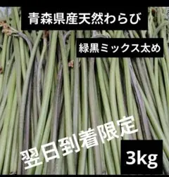 高知県産葉にんにく 葉ニンニク 野菜 産地直送3kg wdjt - メルカリ