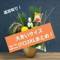 【大きいサイズ】ユニクロ！3XL おまとめ箱　計4点　追加あり！