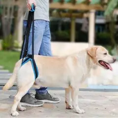 노령견 케어 하네스 애견 보조 하네스 산책 지원 소형 중형 강아지 뒷다리 지지대 (M)