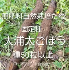 9103gg様 リクエスト 4点 まとめ商品