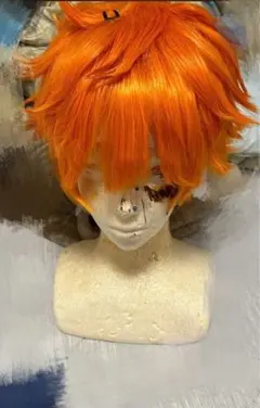 日向翔陽 ウィッグ