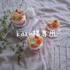 kazu様専用☆ 2点