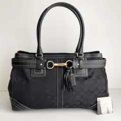 【美品】COACH ハンプトンズ シグネチャー ハンドバッグ 10245 美品】COACH ハンプトンズ シグネチャー ハンドバッグ 10245 - メルカリ