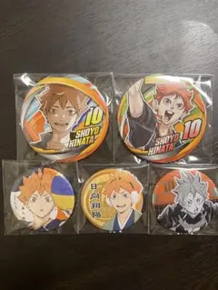 ハイキュー　日向翔陽　缶バッジセット