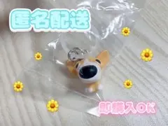 THE DOG AND FRIENDS めじるしマスコット ウェルシュ・コーギー