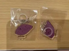 BUDDiiS KEVIN グッズ