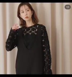 2026年最新】 SLOBE IENA (スローブ イエナ) 刺繍レースカラーブラウス