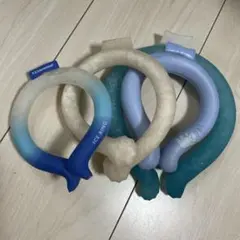 F.O.International ICE RING ネッククーラー 4点セットのサムネイル