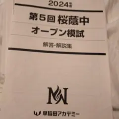 2025年最新】桜蔭オープンの人気アイテム - メルカリ