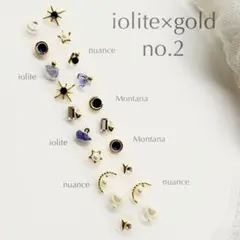 耳ツボジュエリー　再販　20粒　2点目500円　アイオライトゴールド2