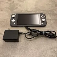 Nintendo Switch Lite 本体 グレー ACアダプター付き