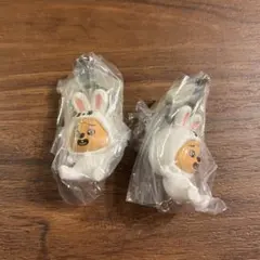 StrayKids スキズ SKZOO ガチャ つまんでつなげて　ハン×2