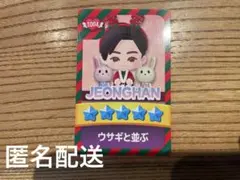 seventeen ジョンハン　パズチ　トレカ