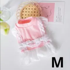 Item thumbnail for item ed68e2bd-ad1c-469c-91b5-f4781d92da38