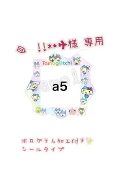 ✎️ꪑ!!*⋆✈様 専用