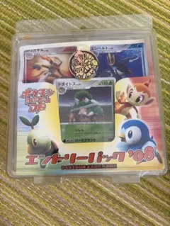 ポケモンカードゲームDP エントリーパック'08 - メルカリ