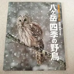 八ケ岳四季の野鳥 : 吉野俊幸写真集