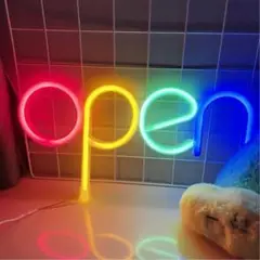 OPEN カラフル ネオンサイン ネオンライト 店舗 LED 照明 看板 USB