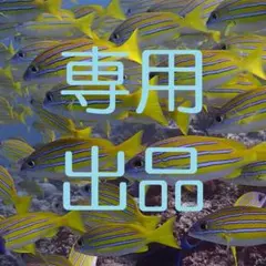 【まいまい様専用】シングDVD