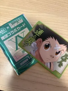HUNTER×HUNTER ハンターハンター　ゴン　イルミ　銀だこ